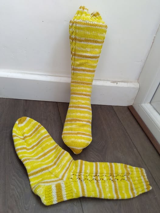 LOVELY GIFT BOXED LEMON STRIPED SOCKS SIZE 4-7